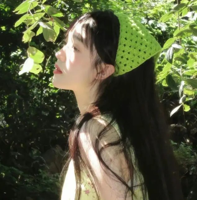警察与女兵国语