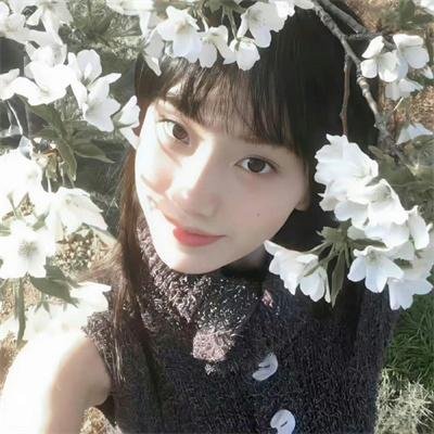 美国派:高潮再起
